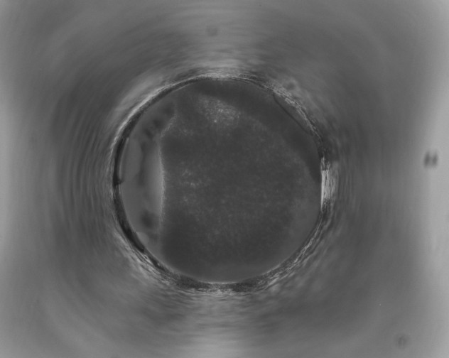 X0000094170243200710261115