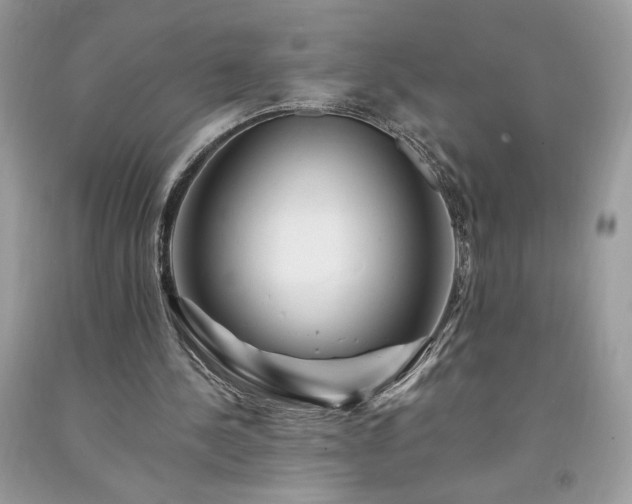 X0000094170244200710261115
