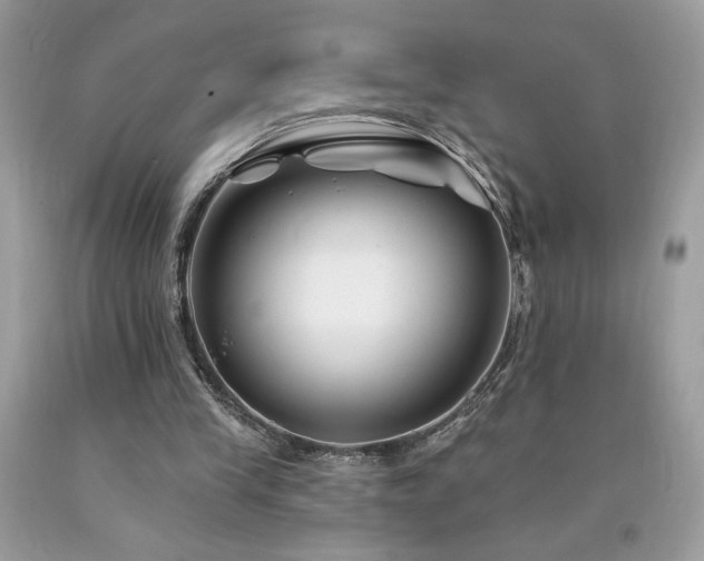 X0000094170245200710261115