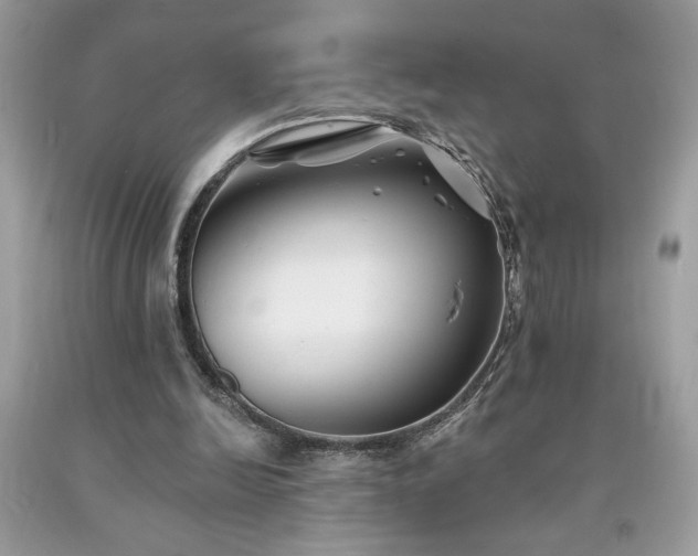 X0000094170246200710261115