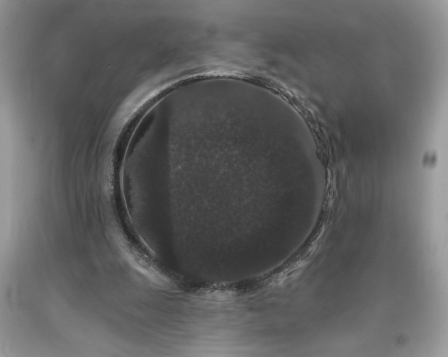 X0000094170247200710261115