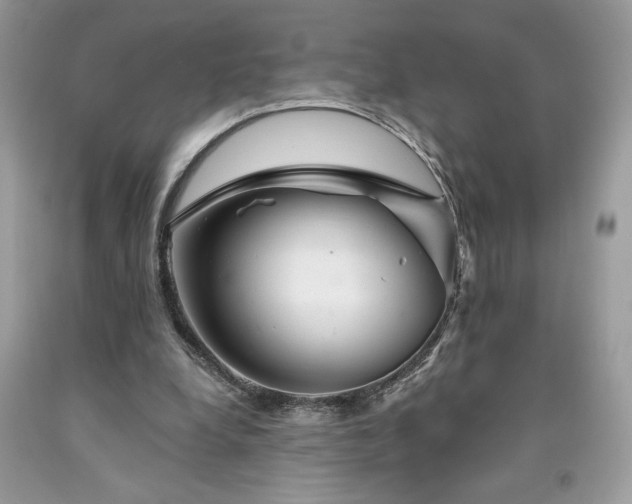X0000094170248200710261115