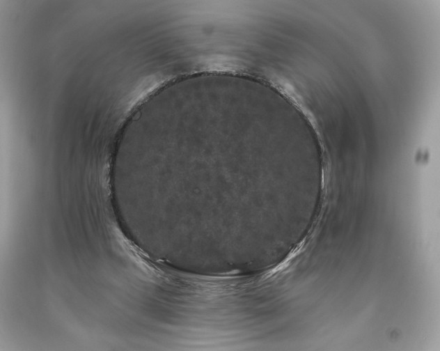 X0000094170249200710261115