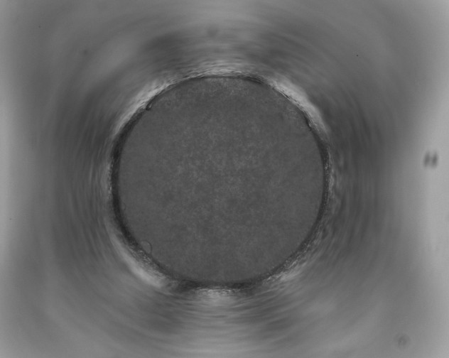X0000094170250200710261115