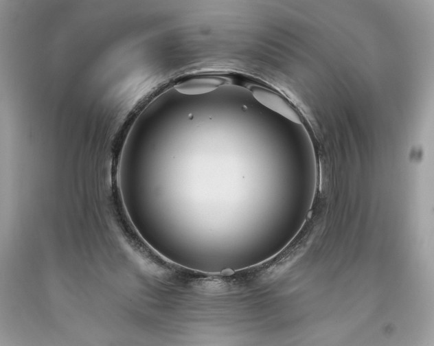 X0000094170253200710261115