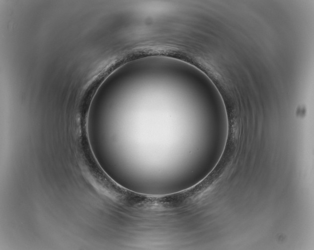 X0000094170254200710261115