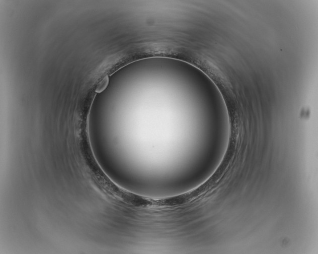 X0000094170255200710261115