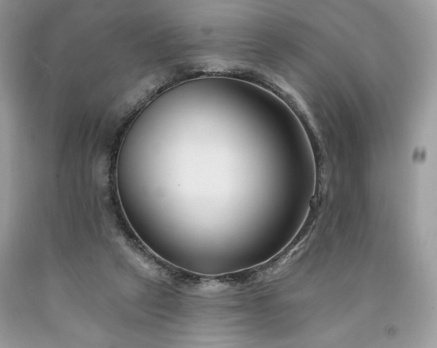 X0000094170257200710261115