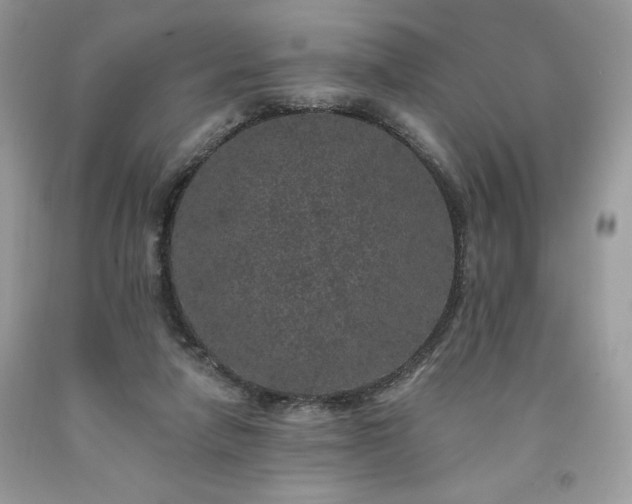 X0000094170258200710261115