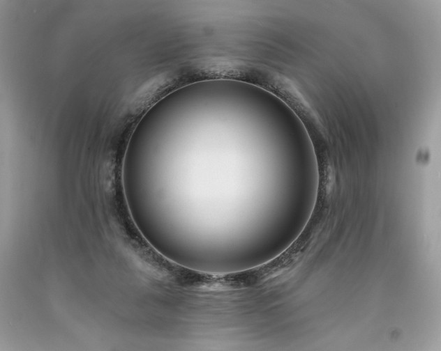 X0000094170259200710261115