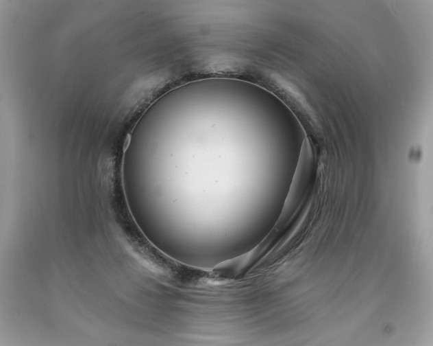 X0000094170260200710261115