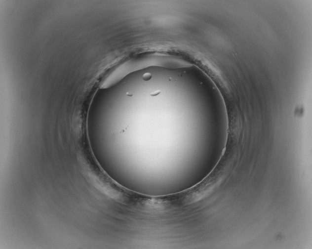 X0000094170261200710261115