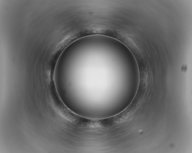 X0000094170262200710261115
