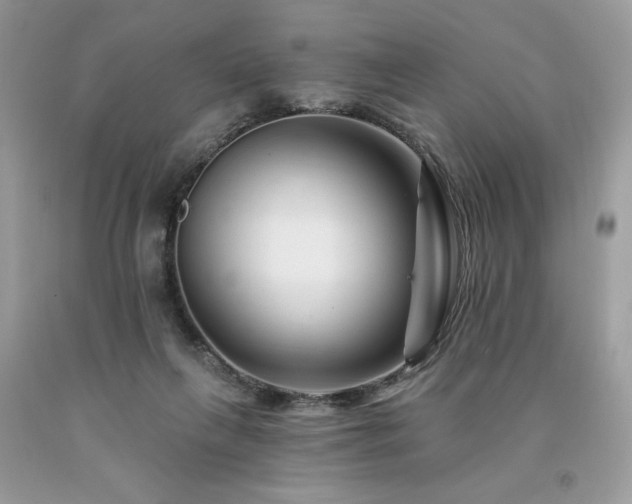 X0000094170263200710261115