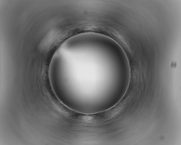 X0000094170265200710261115