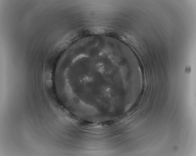 X0000094170267200710261116