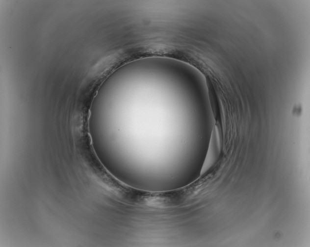 X0000094170268200710261116