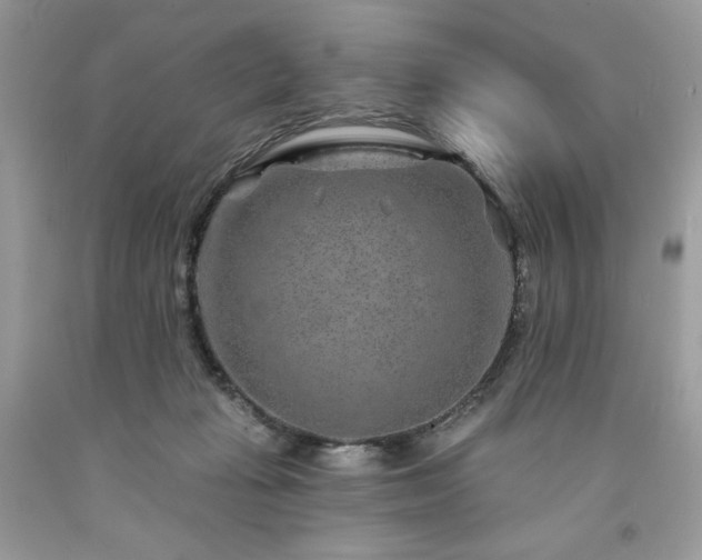 X0000094170269200710261116