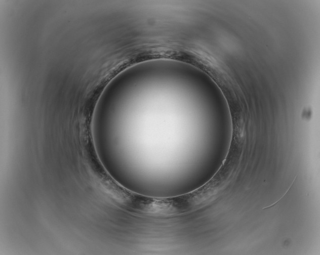 X0000094170270200710261116