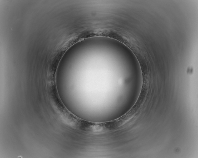 X0000094170272200710261116
