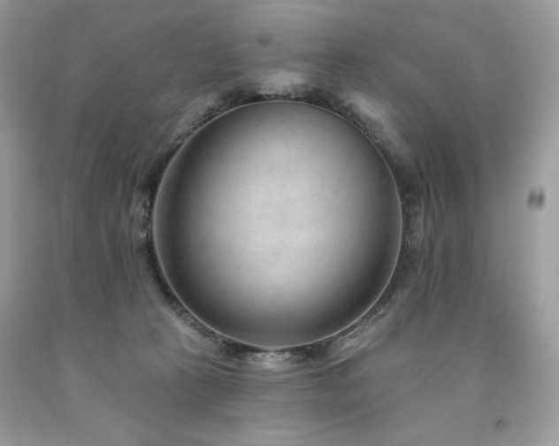 X0000094170273200710261116