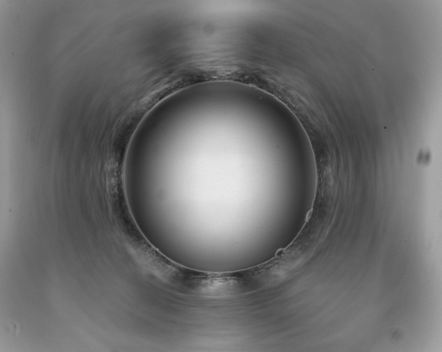 X0000094170274200710261116