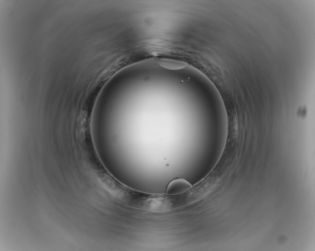 X0000094170275200710261116
