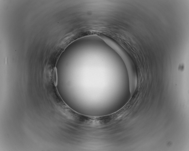 X0000094170276200710261116