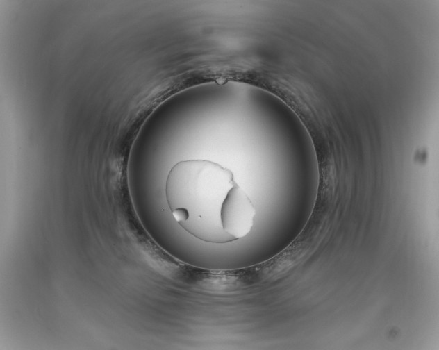 X0000094170278200710261116