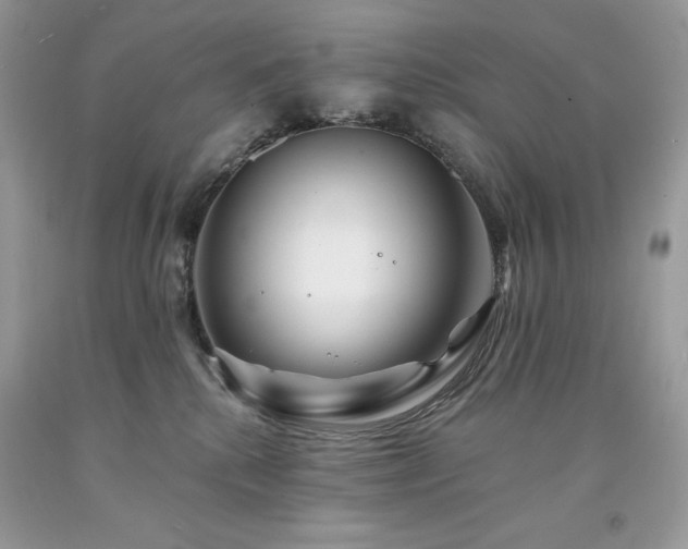 X0000094170280200710261116