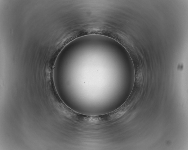 X0000094170282200710261116
