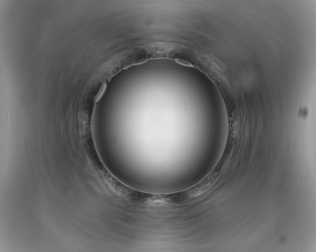 X0000094170283200710261116