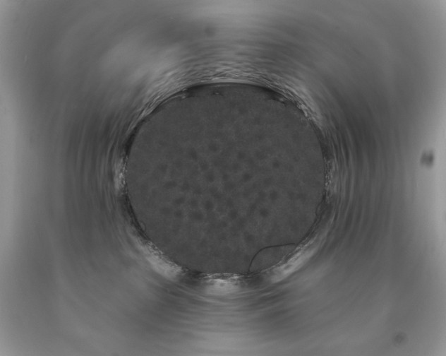 X0000094170285200710261116