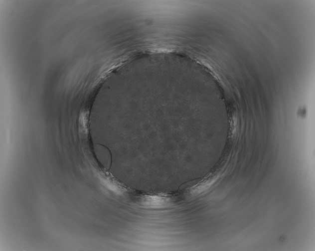 X0000094170286200710261116