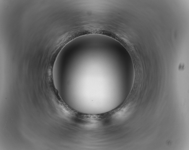 X0000094170288200710261116