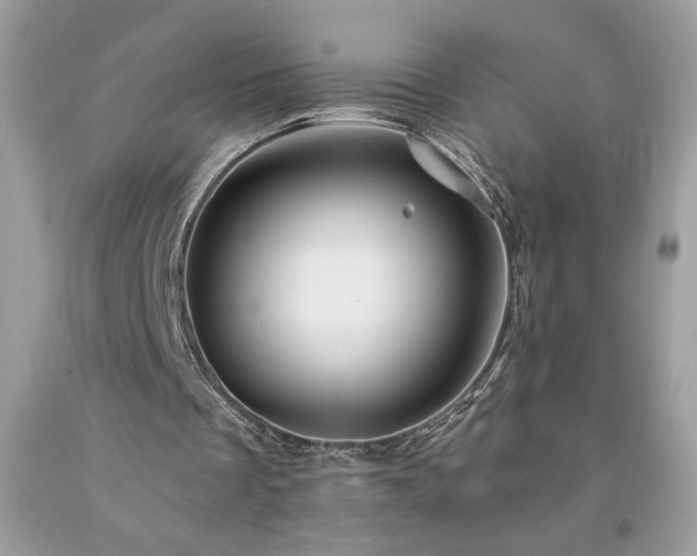 X0000094170289200710261115