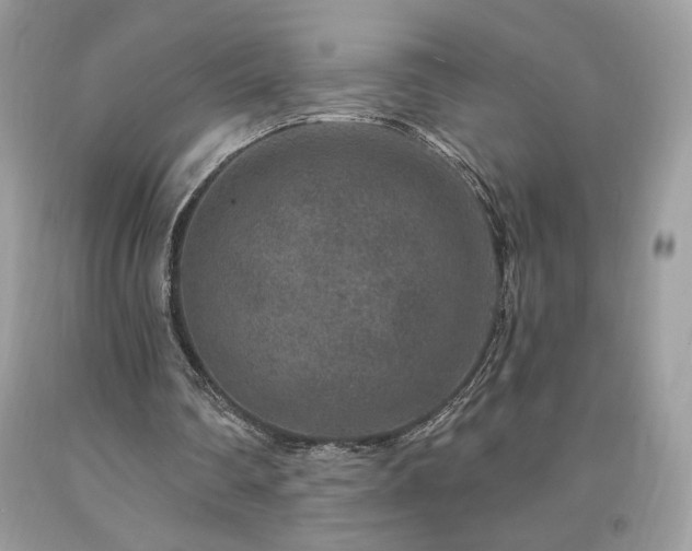 X0000094170290200710261115