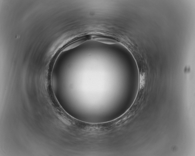 X0000094170291200710261115
