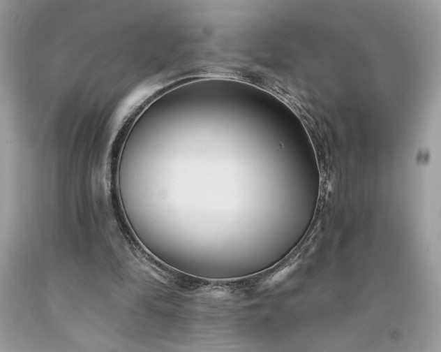 X0000094170294200710261115