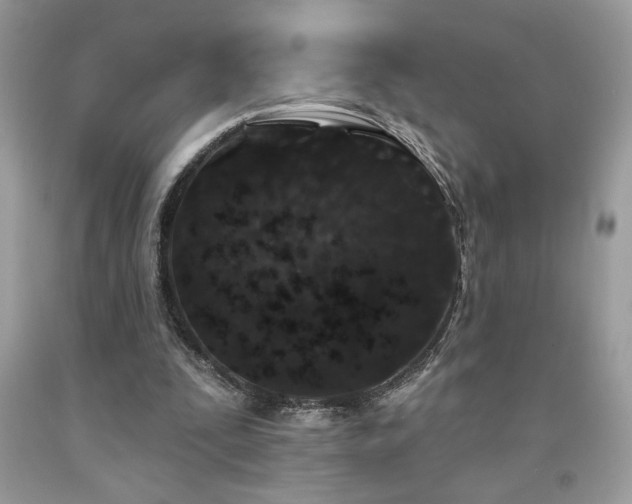 X0000094170295200710261115