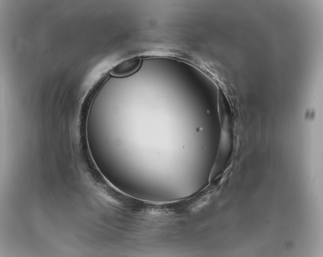 X0000094170296200710261115
