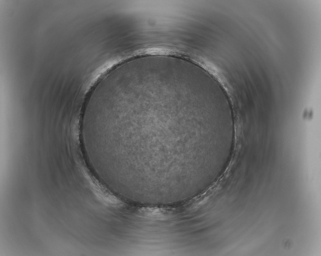 X0000094170297200710261115