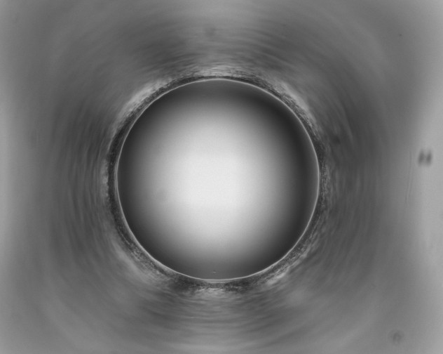 X0000094170298200710261115