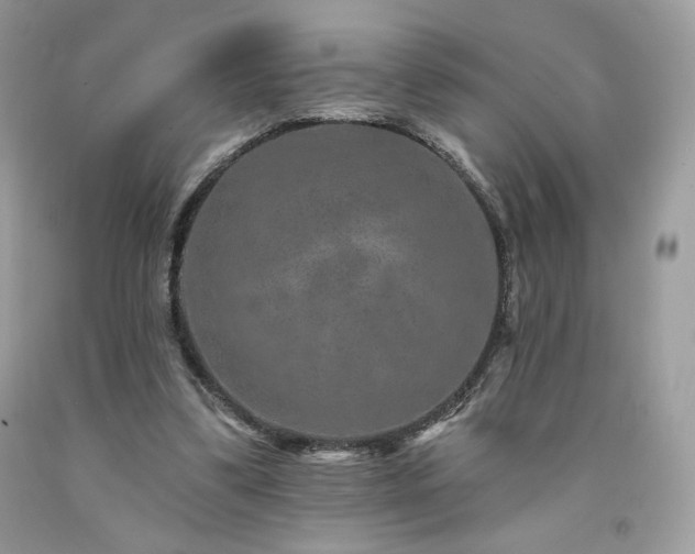 X0000094170299200710261115