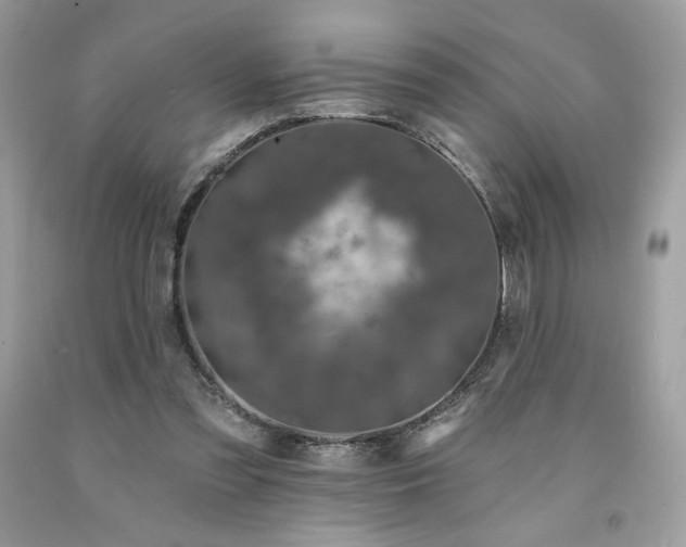 X0000094170301200710261115
