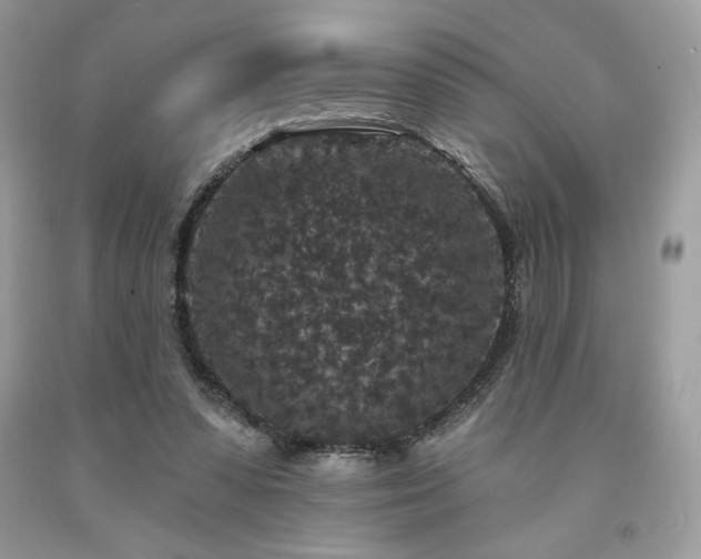 X0000094170303200710261115