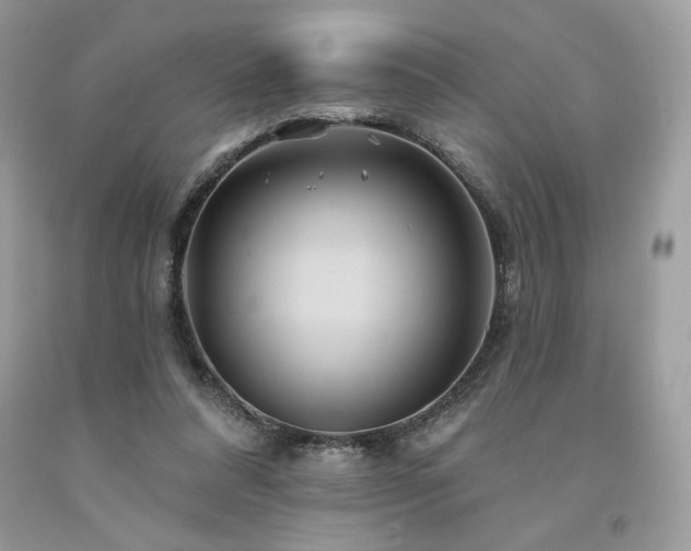 X0000094170304200710261115