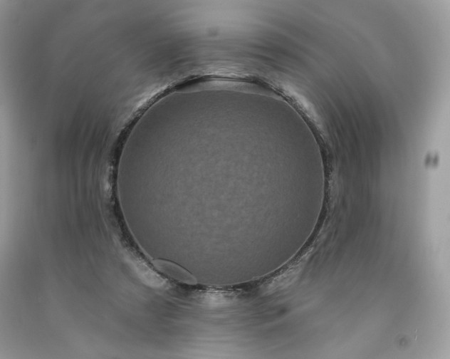 X0000094170305200710261115