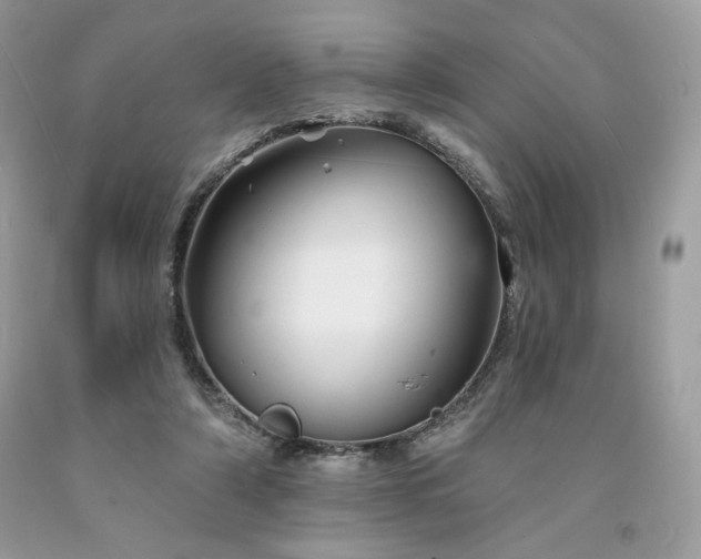 X0000094170306200710261115