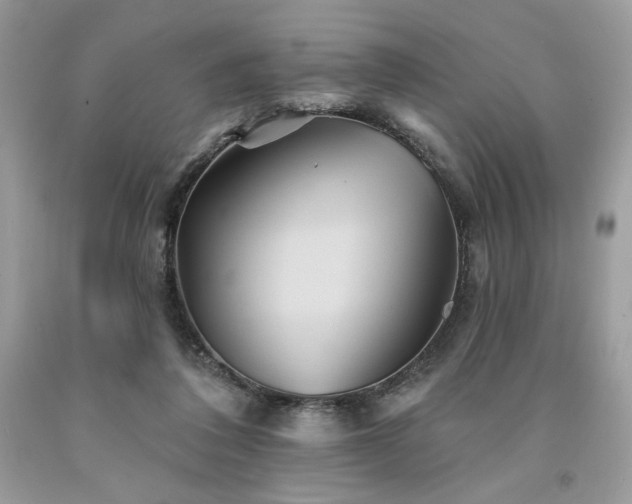 X0000094170308200710261115